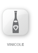 vinicole